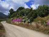 ENDURO SARDEGNA 2 Buggerru - 130